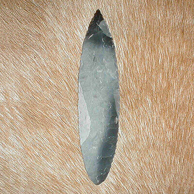 Long Solutrean spearhead