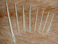 Bone/antler needles