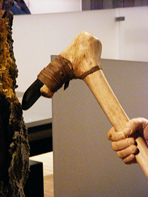 Wooden axe/adze handle